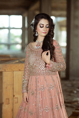 Walima Dream Dress - Fashion Ghar