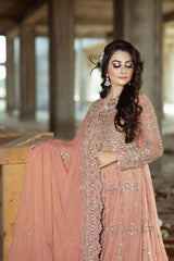 Walima Dream Dress - Fashion Ghar