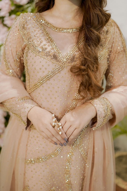 Delicate Sparkle, Unforgettable Elegance - Fashion Ghar