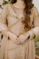 Delicate Sparkle, Unforgettable Elegance - Fashion Ghar