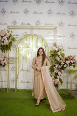 Delicate Sparkle, Unforgettable Elegance - Fashion Ghar