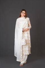 FG-011 3PCS STITCHED | UNSTITCHED - Fashion Ghar