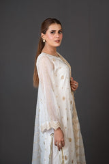 FG-008 3PCS STITCHED | UNSTITCHED - Fashion Ghar