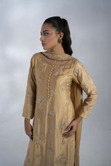 3 Piece - Embroidered Suit - FG-017