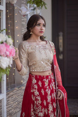 Crimson Bridal Lehenga - Fashion Ghar