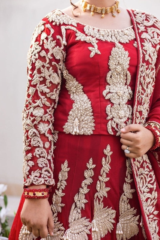 Regal Reshum Baraat Dress - Fashion Ghar
